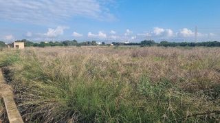 Terreno en venta en Centro en Villarreal