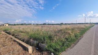 Terreno en venta en Centro en Villarreal