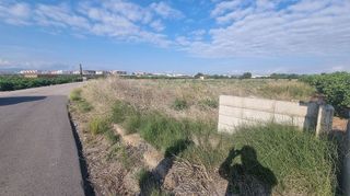 Terreno en venta en Centro en Villarreal