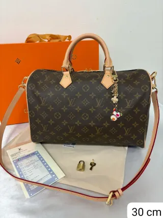 Borsa Louis Vuitton Speedy 30
