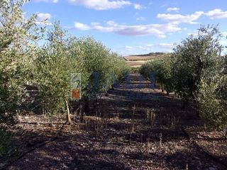 Casa rural en venta en Valdepeñas