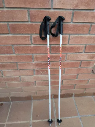 Palos de esquí 100 cm