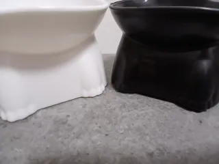 Set 2 Ciotole Gatto Design Ergonomico