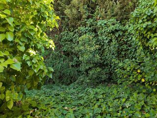 Casa adosada en venta en Valdeastillas - Fuentezuelas en Jaén