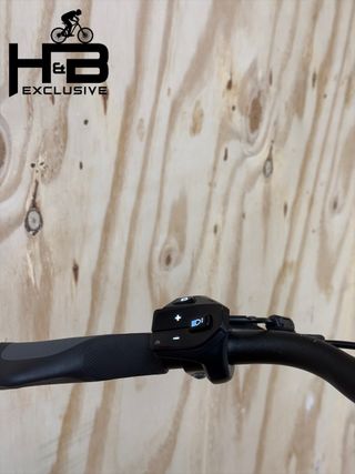 Flyer Upstreet5 5.10 Gents Bici elettriche Alivio