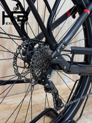 Flyer Upstreet5 5.10 Gents Bici elettriche Alivio