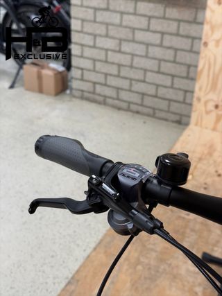 Flyer Upstreet5 5.10 Gents Bici elettriche Alivio