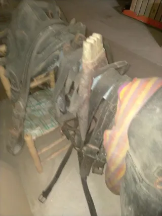 Arreos de caballerías para mulas/caballos