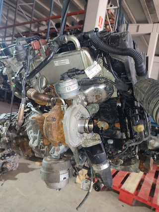 MOTOR COMPLETO AUDI A4 BER. (B8) Básico | 11.07 -