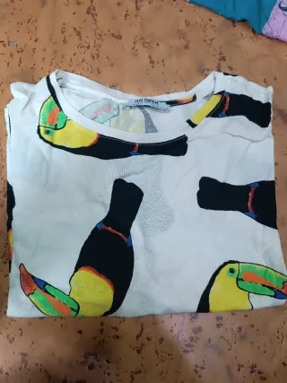 Lote de 7 Camisetas Variadas