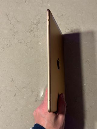 iPad 8ª Gen Wifi+celular