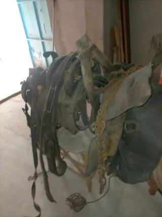 Arreos de enganche para caballo