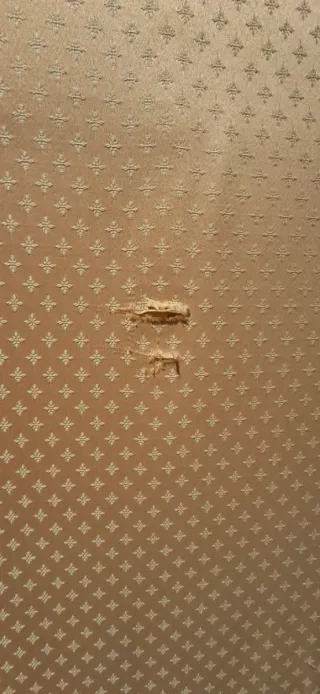 4 Biombos de tela verde y beige