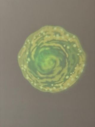 Pistola Portal Rick and Morty Proyector