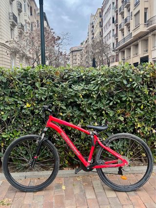 Bicicleta Montaña Rockrider ST 100 L