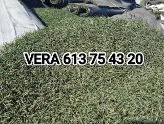 Venta césped artificial