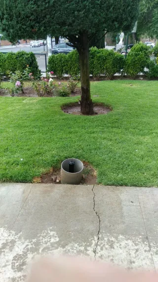 Se ofrece jardinero con experiencia.