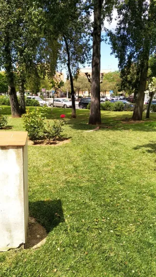 Se ofrece jardinero con experiencia.