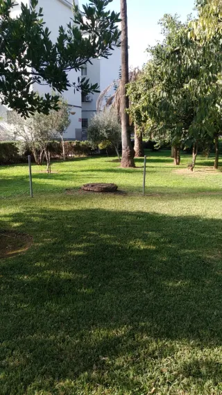 Se ofrece jardinero con experiencia.