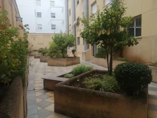 Se ofrece jardinero con experiencia.