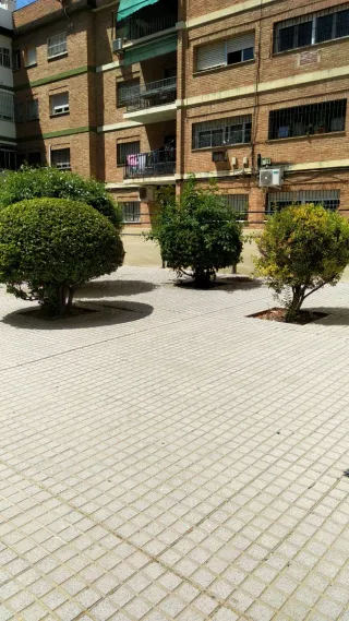 Se ofrece jardinero con experiencia.