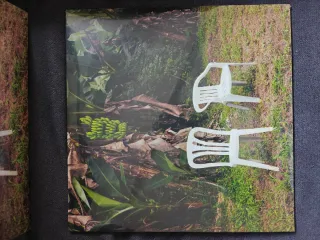 Vinilo Bad Bunny: Debí tirar mas fotos