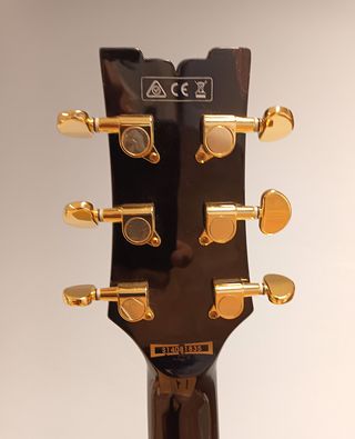 Guitarra Ibanez AR325-DBS