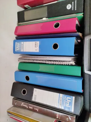 Lote de Archivadores y Carpetas