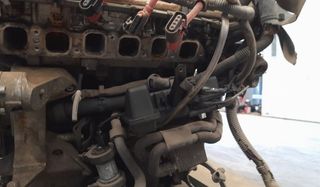 Despiece motor audi bdb a3 (8p1) 1130041
