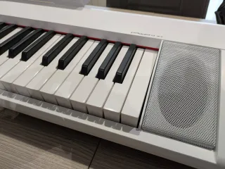 Teclado Yamaha Piaggero NP-12