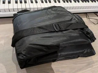 Teclado Yamaha Piaggero NP-12