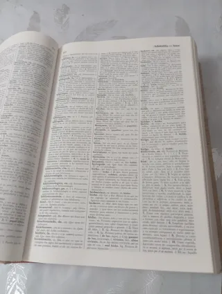 Diccionario de la Lengua Espanola RAE 21 edición