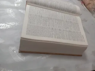 Diccionario de la Lengua Espanola RAE 21 edición