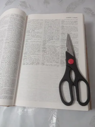 Diccionario de la Lengua Espanola RAE 21 edición