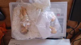 2 angioletti su cuscino decorativo