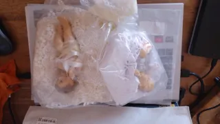 2 angioletti su cuscino decorativo