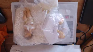 2 angioletti su cuscino decorativo