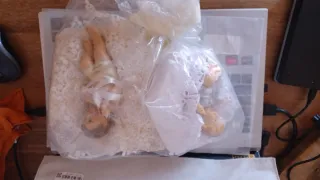 2 angioletti su cuscino decorativo