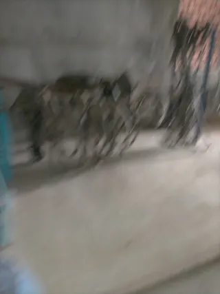 Arreos de cuero para tiro de caballos