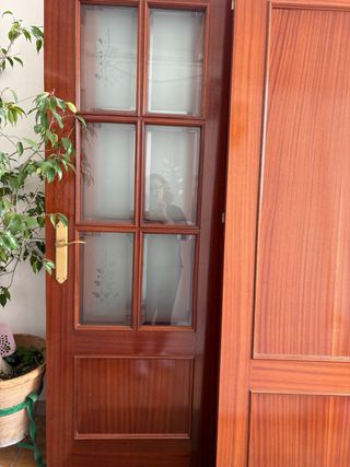 Puertas de madera maciza