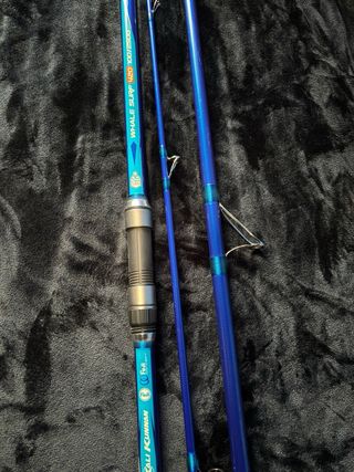 Caña de surfcasting Kali Kunnan