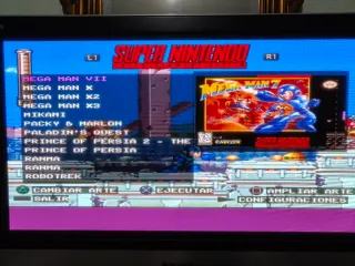 Sony Ps2 Kit Hard disk più memory card Freemcboot