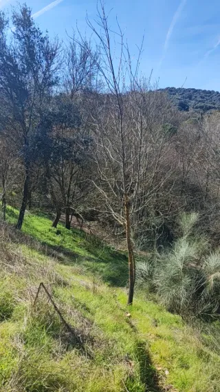 Masaje Relajante y Descontracturantes