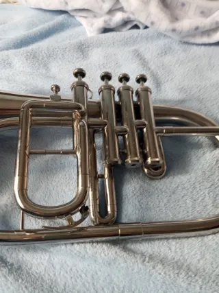 Fliscorno 4 pistones