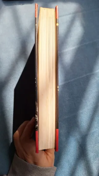 Astronomia. Per saperne di più. Mario Cavedon.