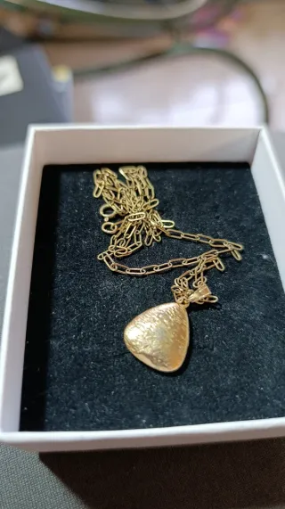 Colgante Piscis Bañado en Oro Cadena Plata