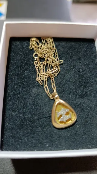 Colgante Piscis Bañado en Oro Cadena Plata