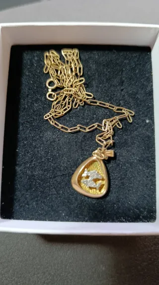Colgante Piscis Bañado en Oro Cadena Plata
