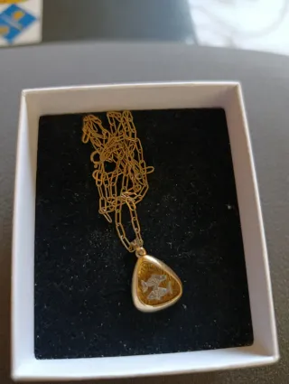 Colgante Piscis Bañado en Oro Cadena Plata