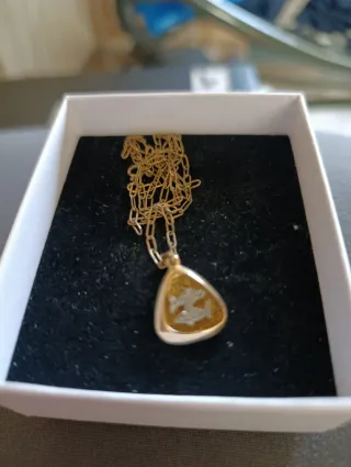 Colgante Piscis Bañado en Oro Cadena Plata